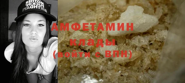 крисы Бородино