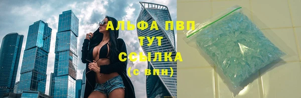 крисы Бородино