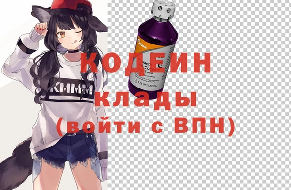 крисы Бородино