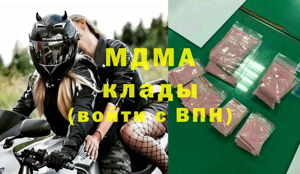 крисы Бородино
