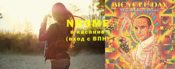 крисы Бородино