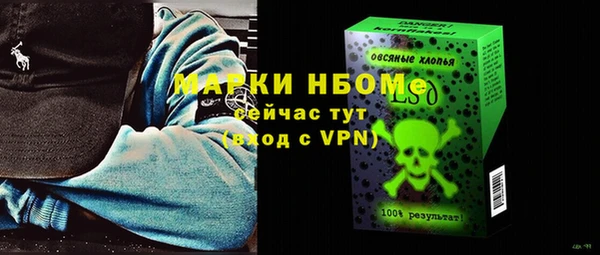 крисы Бородино
