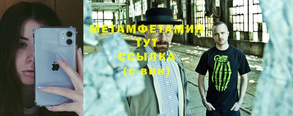 крисы Бородино