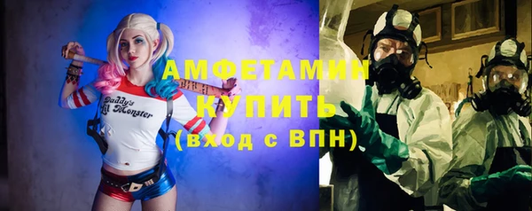 крисы Бородино